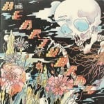 Shins_album cover