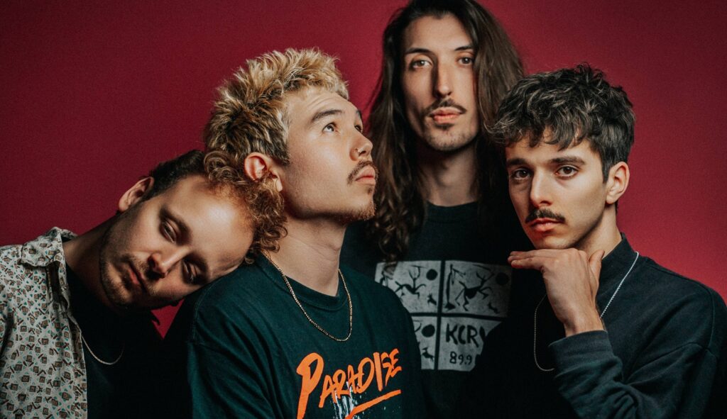 Platte kommt! Happy Plaiins.